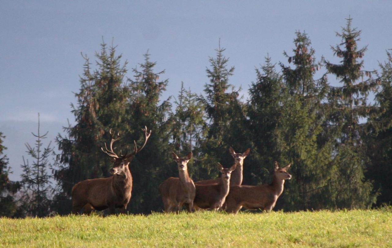 Gite Ferme Brelouffe 1 La Rosiere  Εξωτερικό φωτογραφία